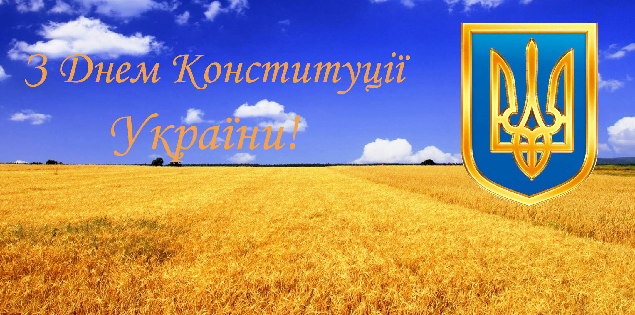 Шановні члени Нотаріальної палати України! Вітаю Вас із визначним державним святом – Днем Конституції України!

